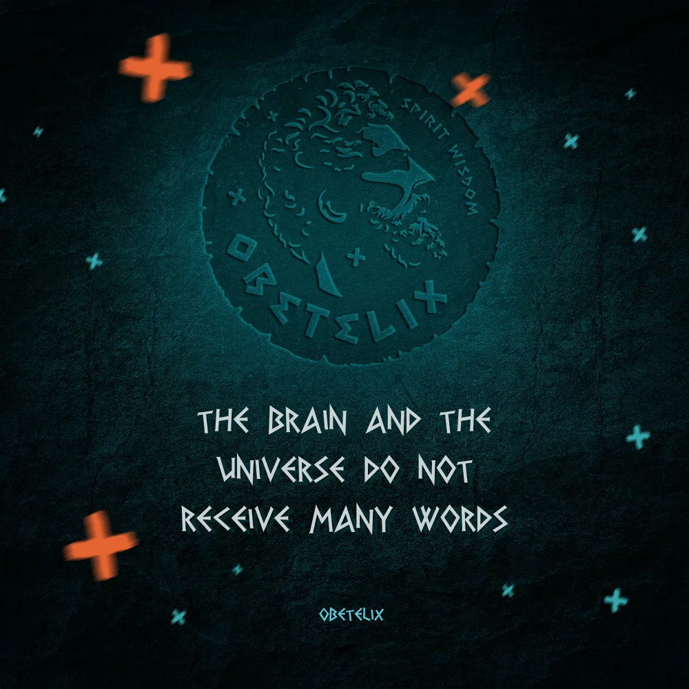 Wisdom image: The Brain and the Universe Do Not Receive Many Words