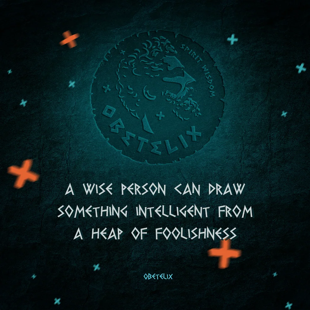 Wisdom image: A Wise Person Can Draw Something Intelligent from a Heap of Foolishness