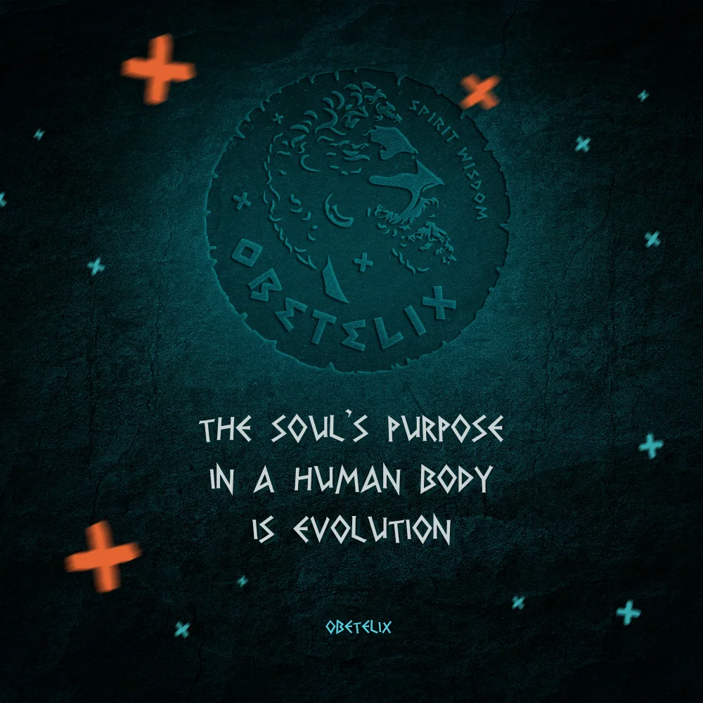 Wisdom image: The Soul's Purpose in a Human Body Is Evolution